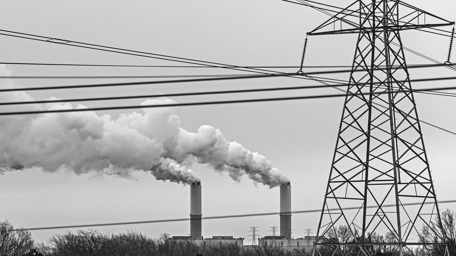 Big Businesses Are Doing Carbon Dioxide Removal All Wrong