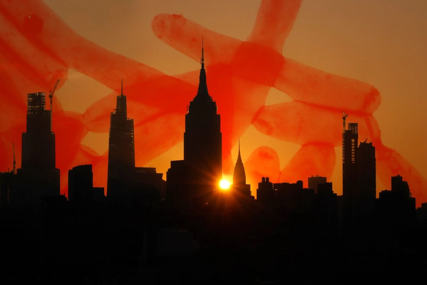 Climate Change Is Bringing Legionnaire's Disease to a Town Near You