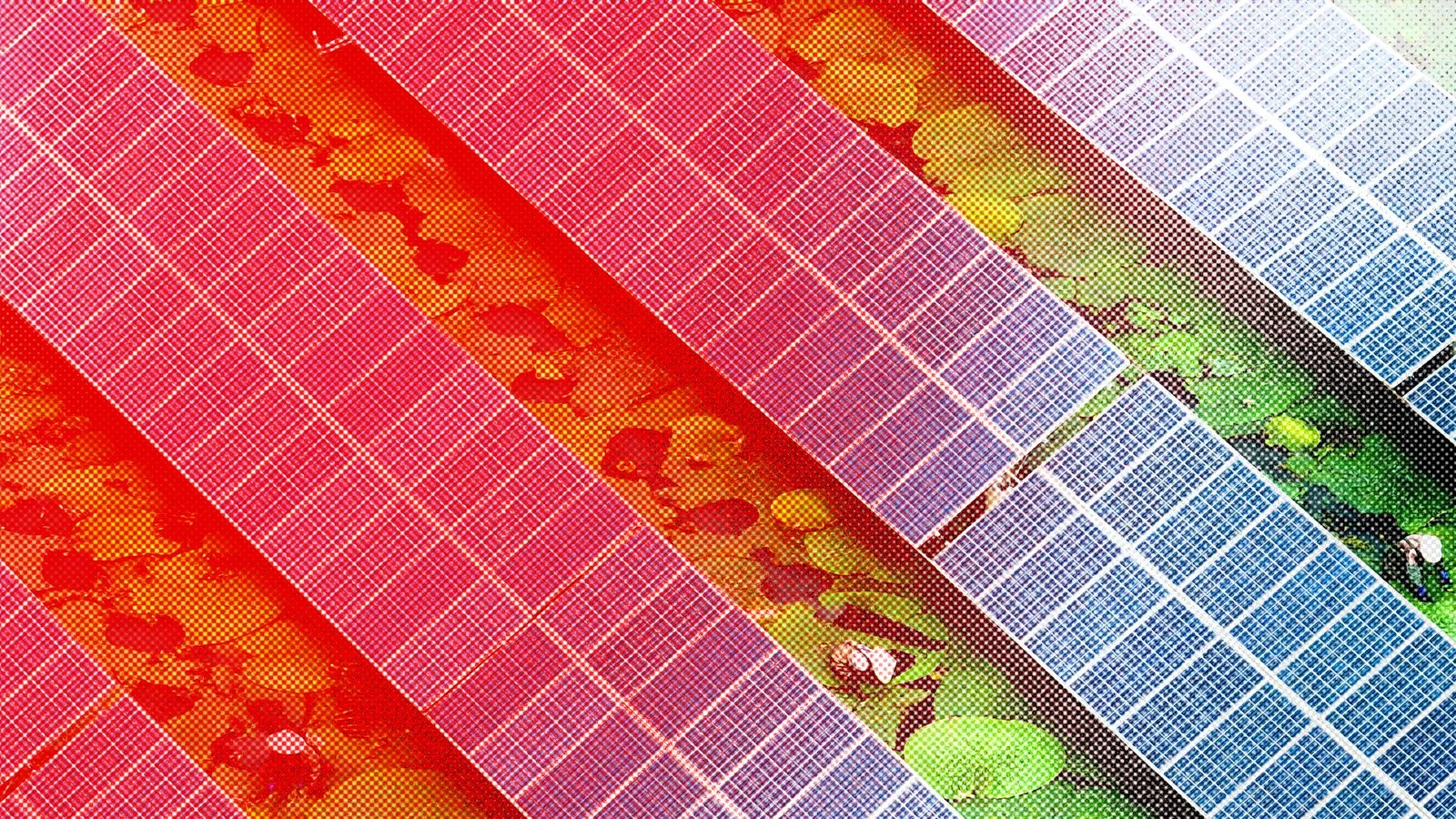 Africa Is Buying a Record Number of Chinese Solar Panels