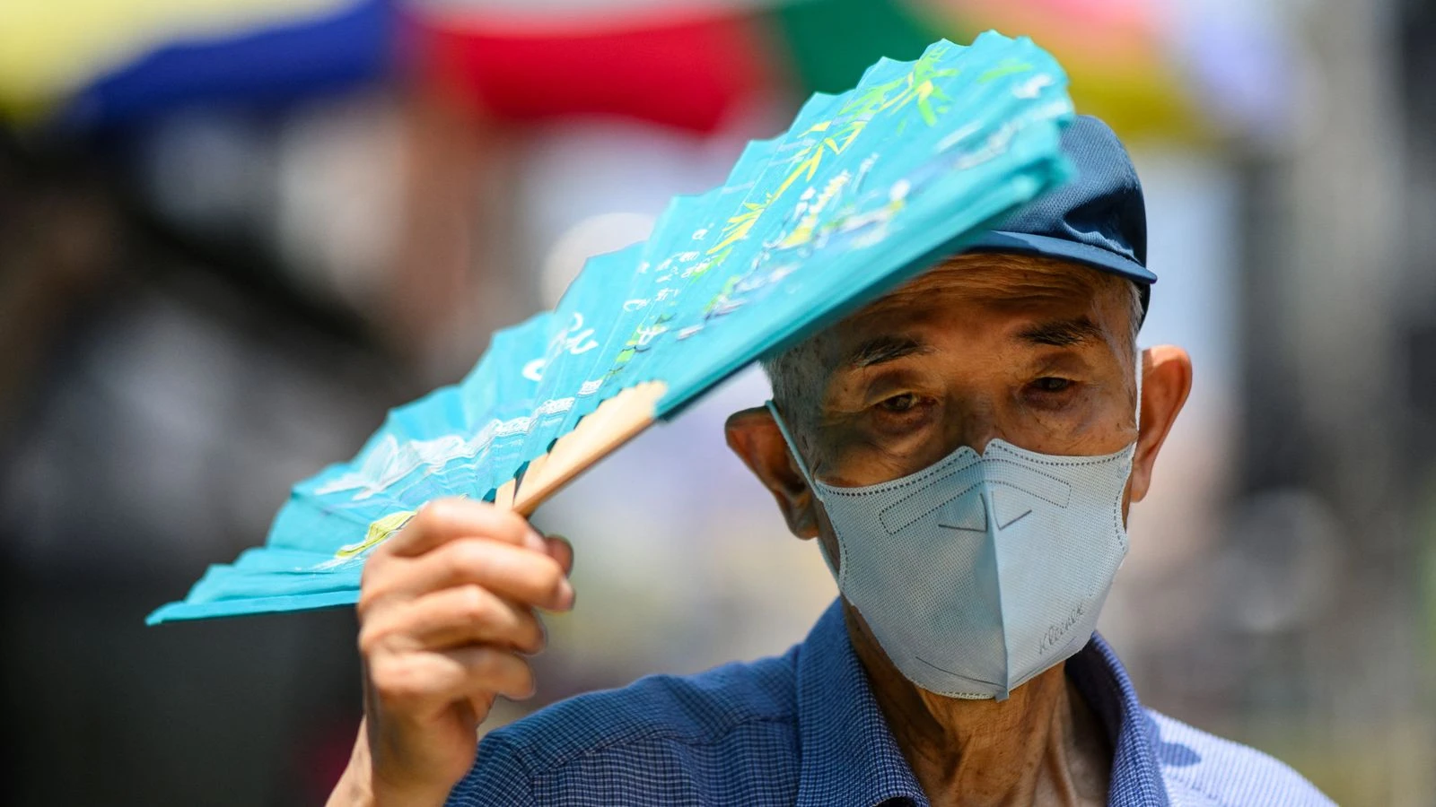 This Is the First Time Scientists Have Seen Decisionmaking in a Brain